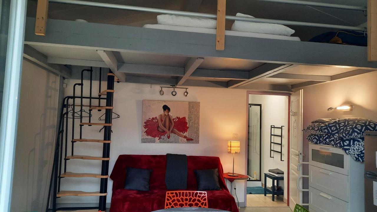 Dormir A Montauban Logements Carreyrat Calme Et Verdoyant ภายนอก รูปภาพ